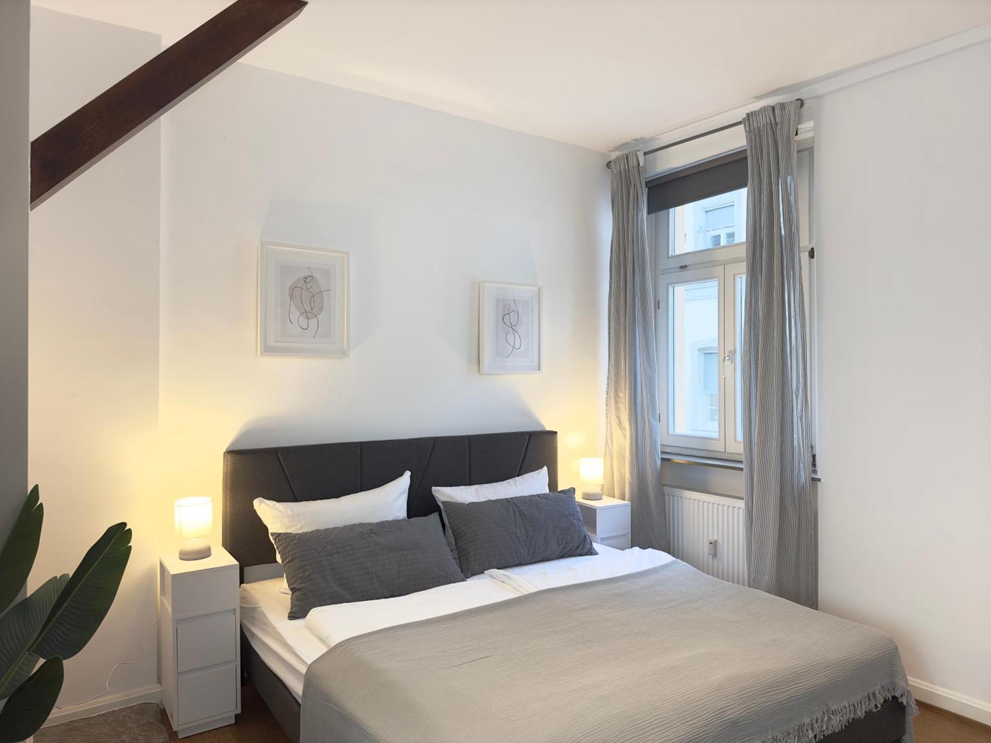 Luxury Old Town Suite - Xxl Terrasse & Xxl Penthouse Хайдельберг Экстерьер фото